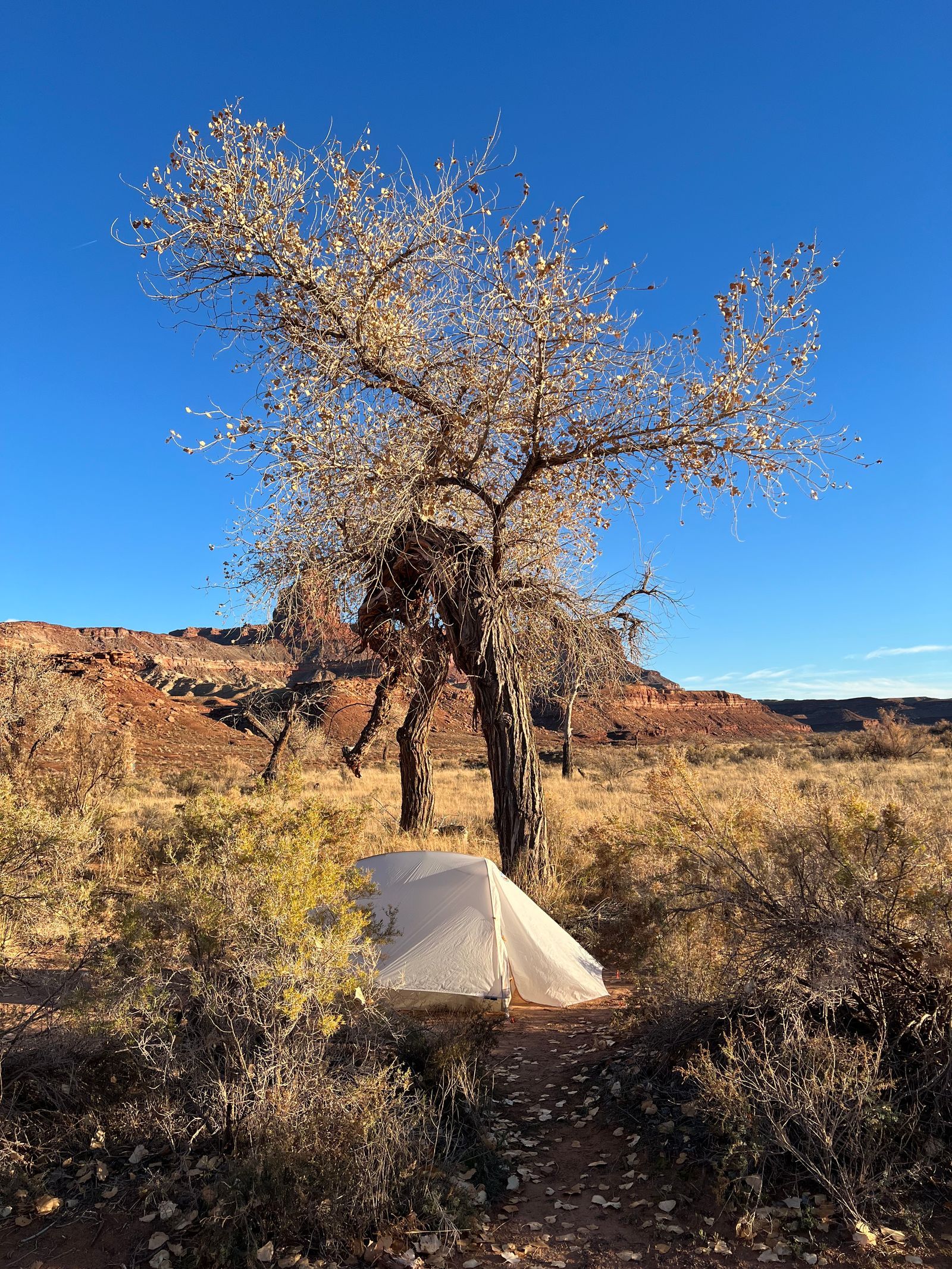 How to bikepack the White Rim