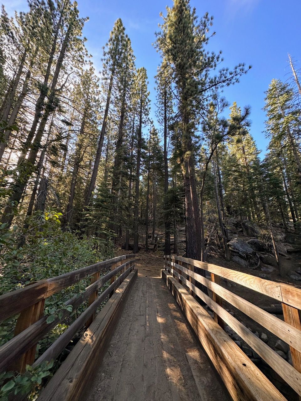 How to bikepack the Tahoe Rim Trail in 3 days