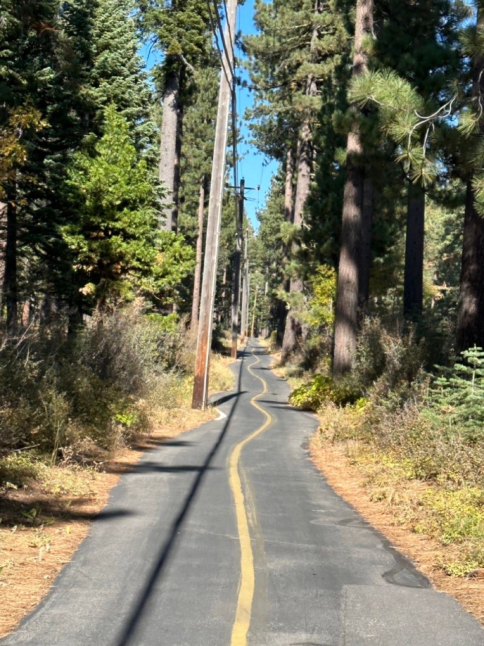 How to bikepack the Tahoe Rim Trail in 3 days