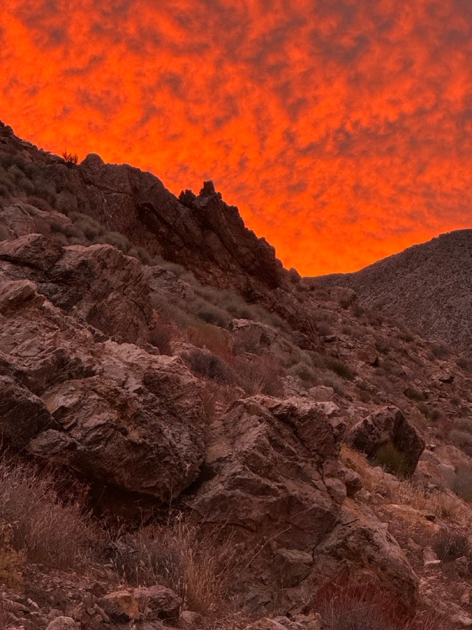 Bikepacking Death Valley in 3 days